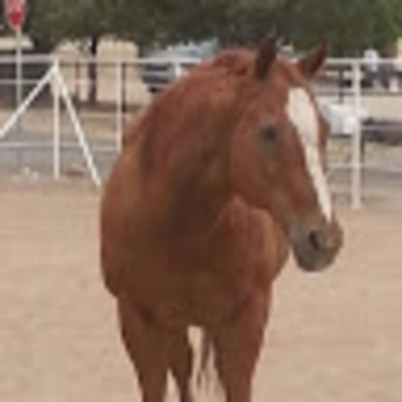 aqhaimpressive